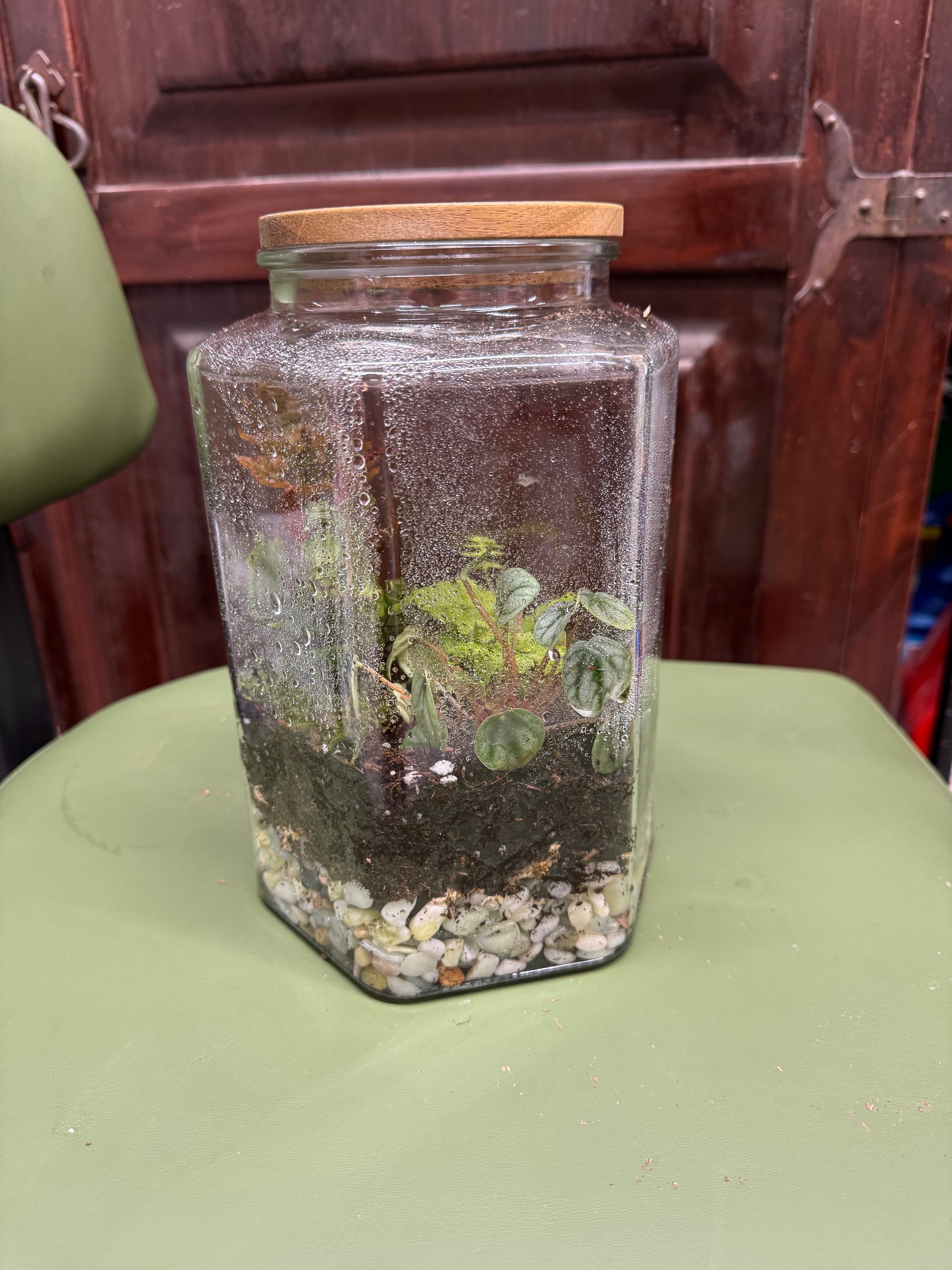 Hexagon Terrarium