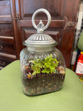 Small Canister Terrarium