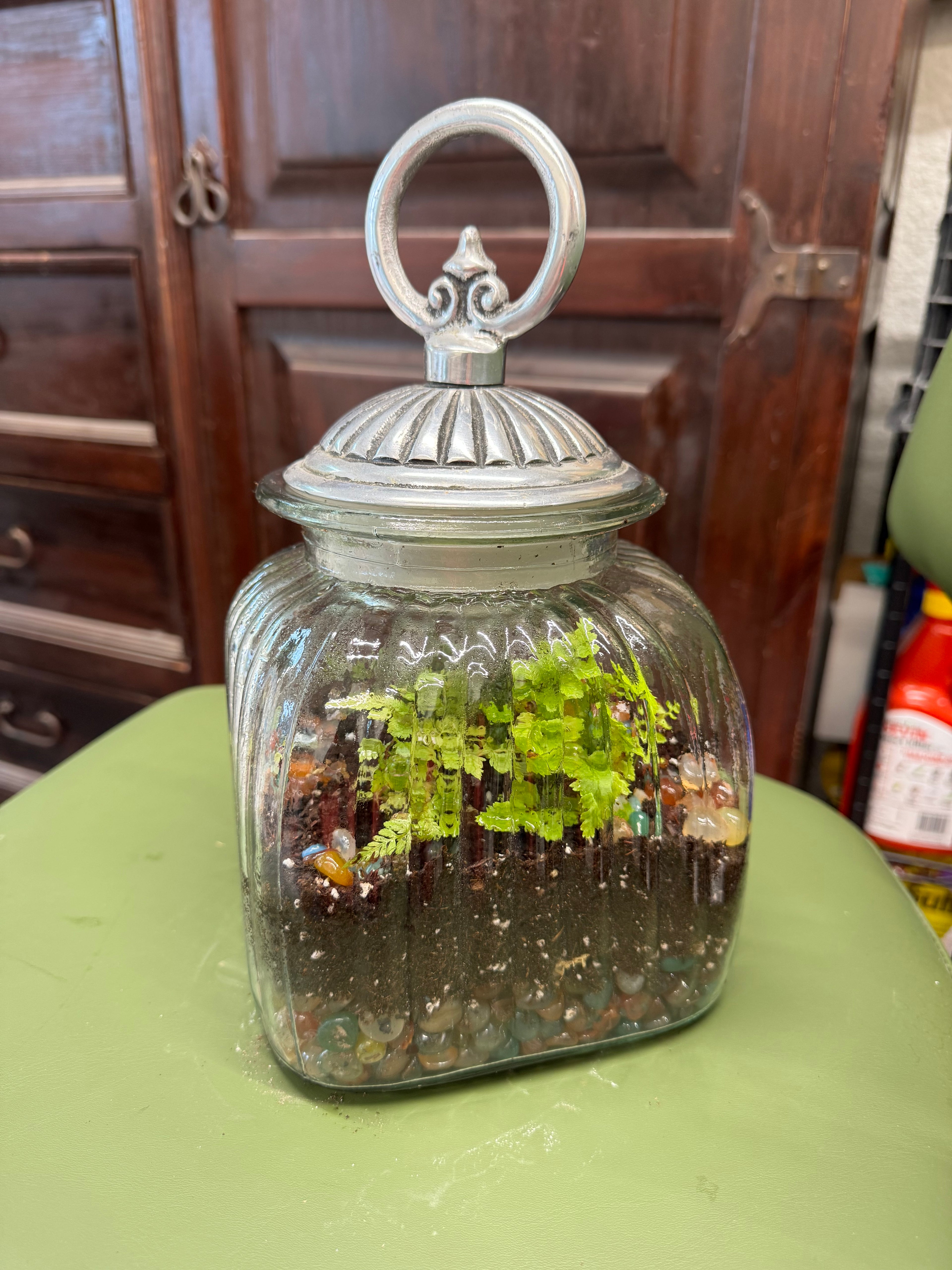 Small Canister Terrarium