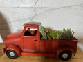 Truck with Succulents and Cactus