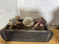 Wood Block Mold Succulents and Cactus