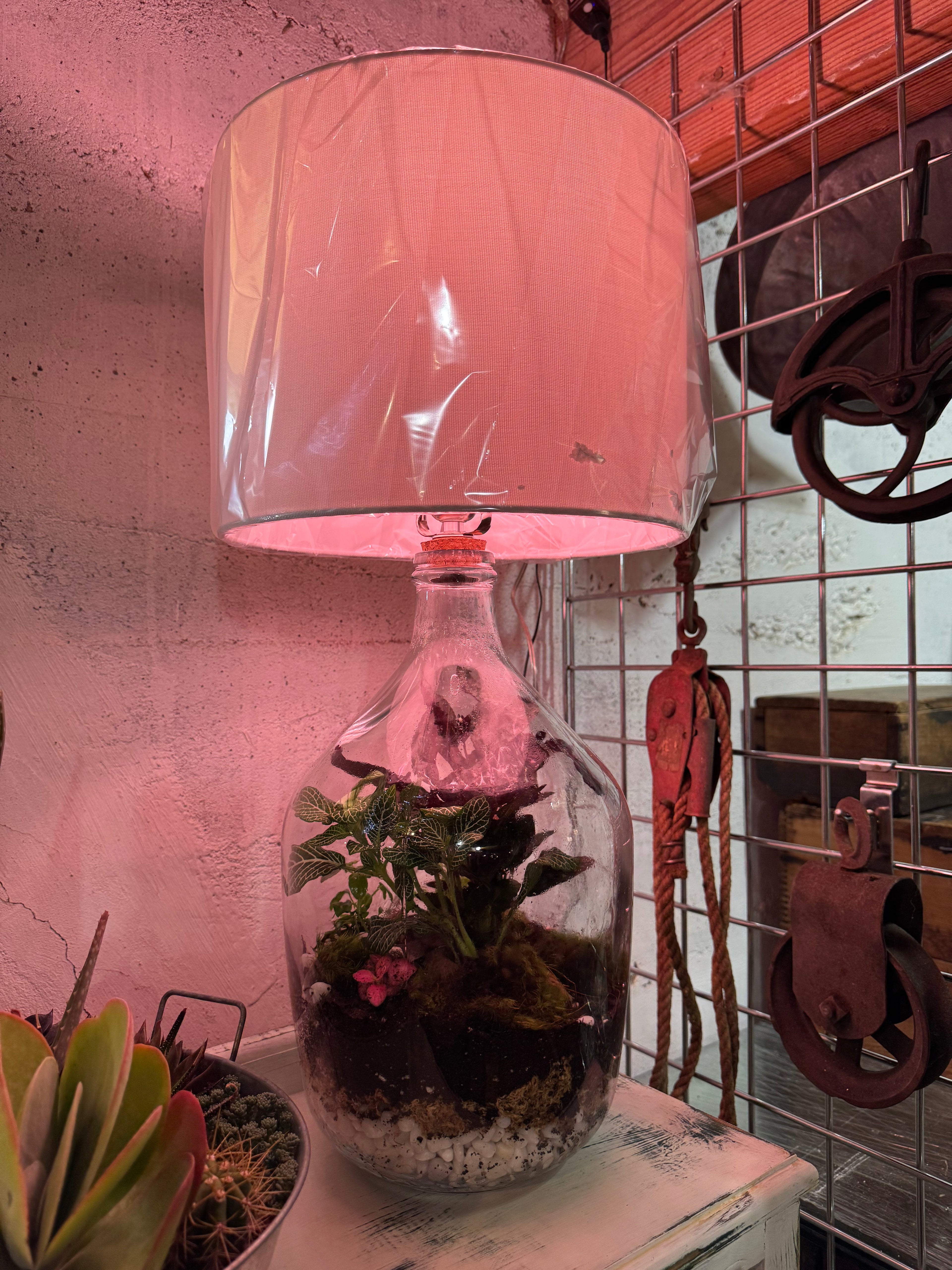 Large Terrarium Lamp