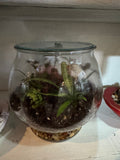 Round Terrarium with Pedestal Base