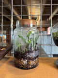 Cylinder Terrarium