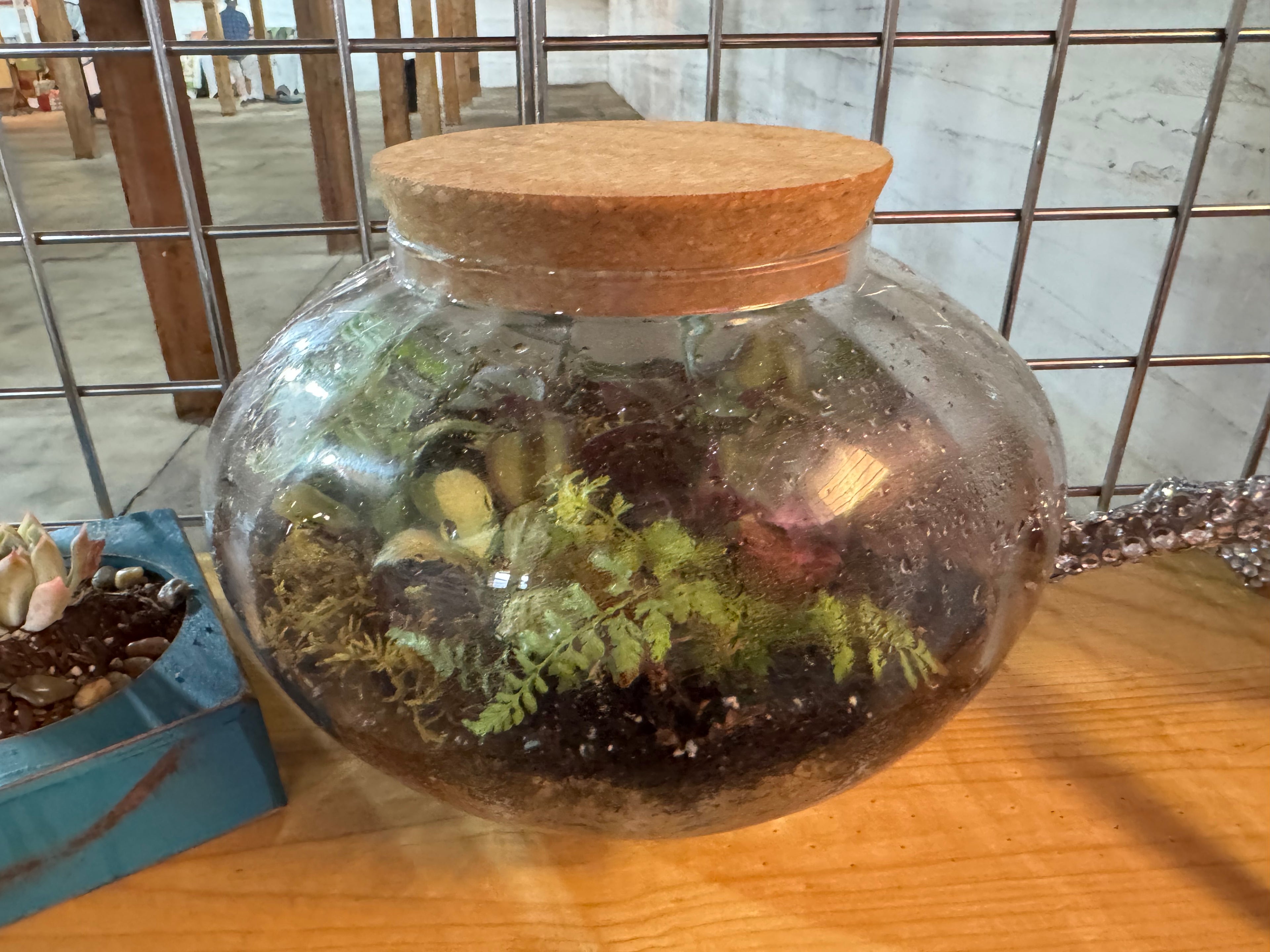 Oval Glass Terrarium