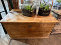 Wood Trunk
