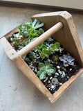 Wooden Succulent Basket